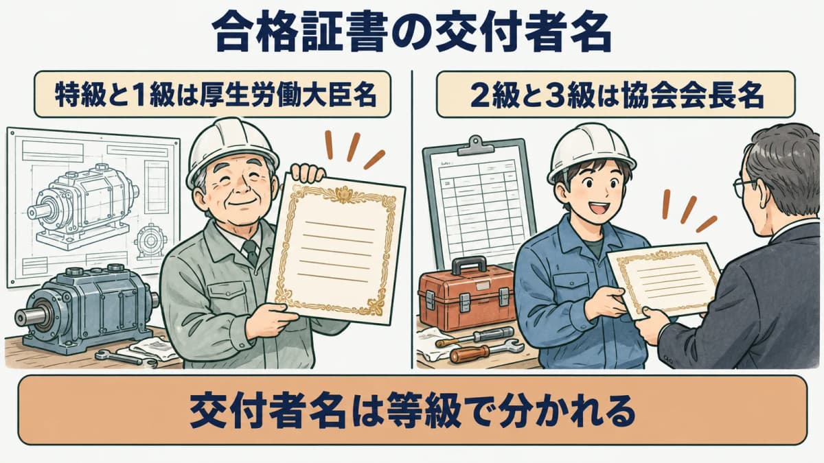 合格証書の交付者名の違いを示す図。特級・1級は厚生労働大臣名、2級・3級は協会会長名で交付されることを対比する